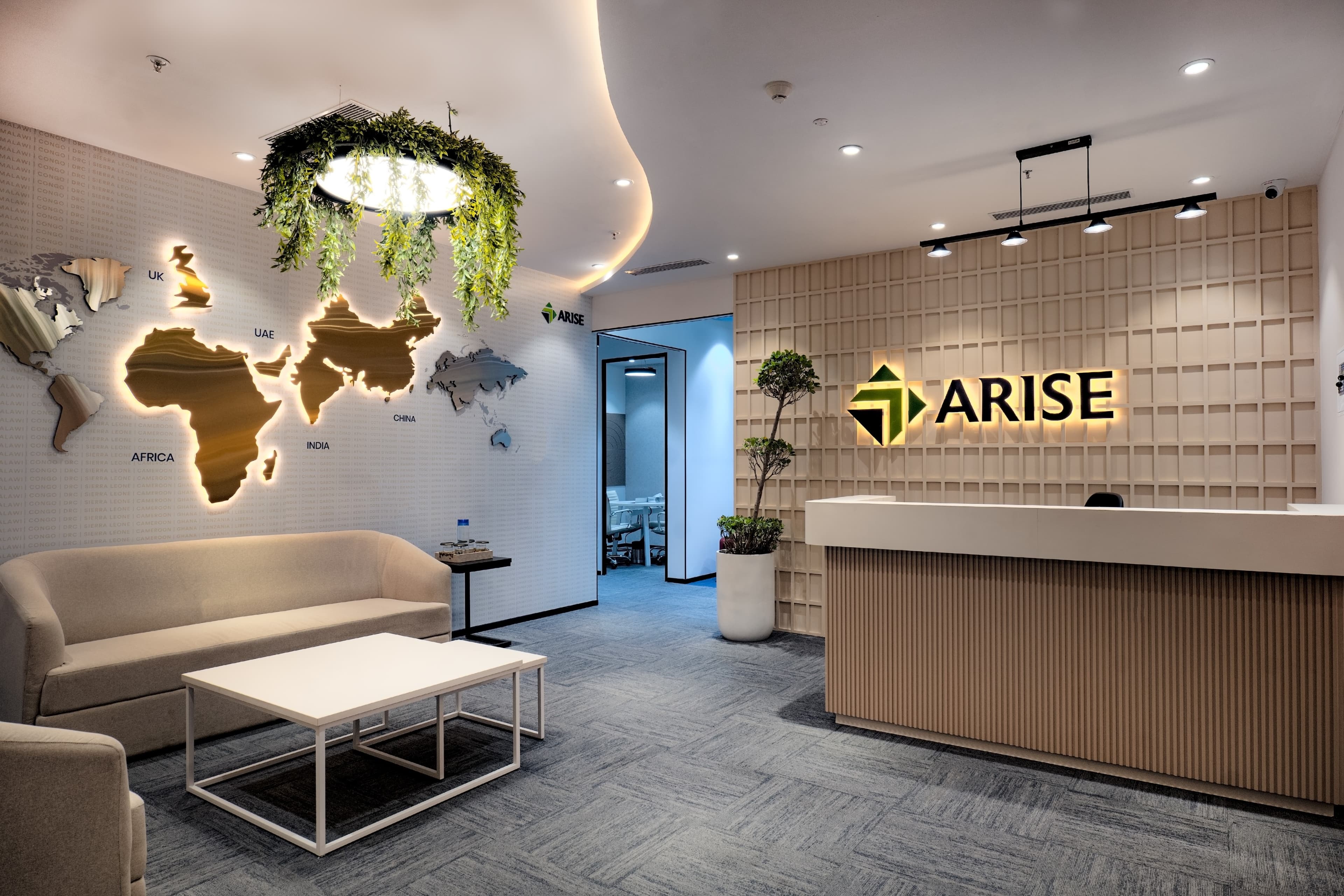 ARISE IIP